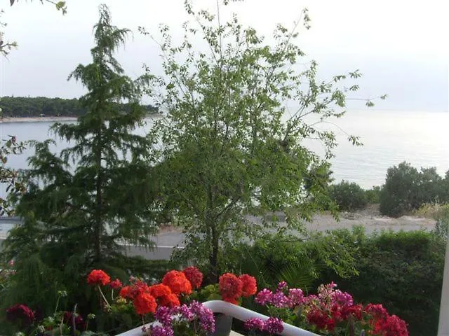 Tonka Konukevi Primošten